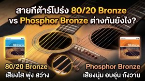 สายกีต้าร์โปร่ง 80/20 Bronze กับ Phosphor Bronze ต่างกันยังไง