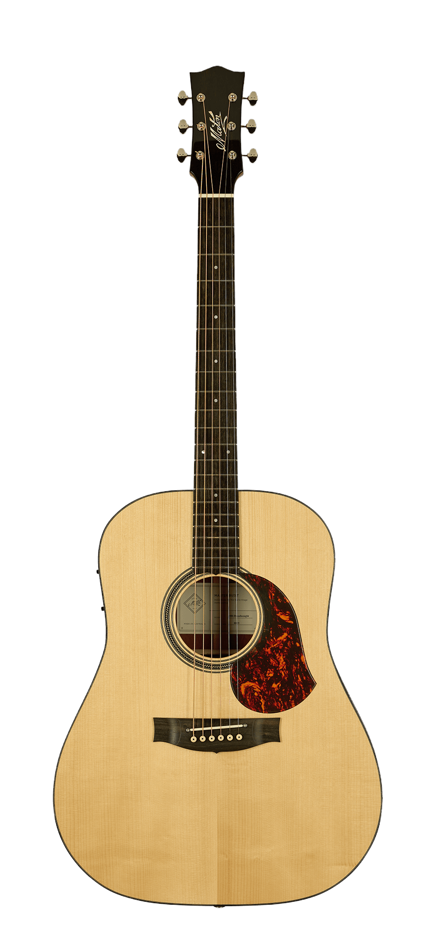 Acoustic Guitar History
