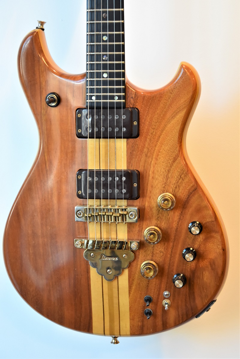 Ibanez Musician MC300