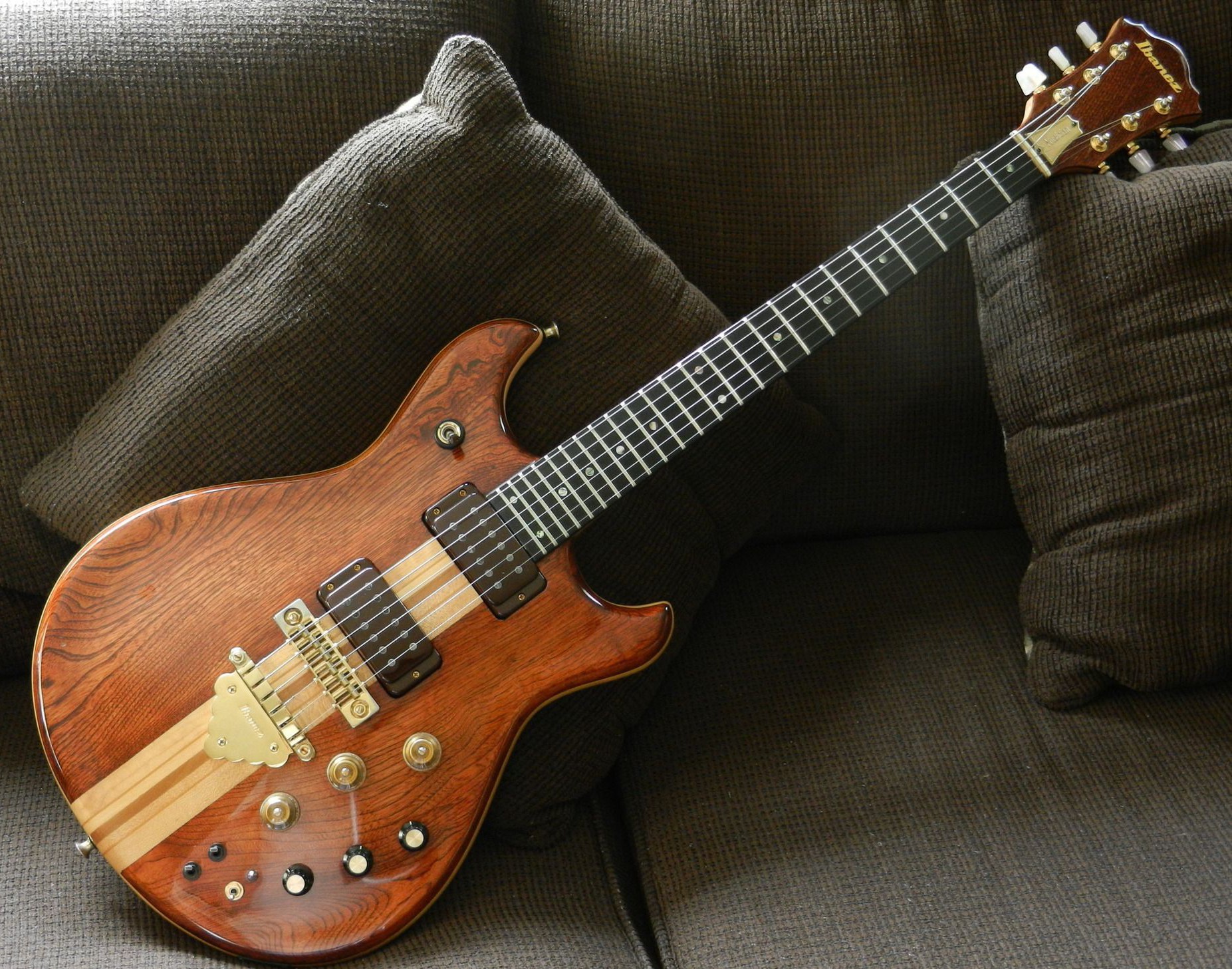Ibanez Musician MC300