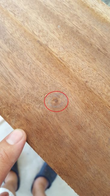 ตาไม้บน Mahogany