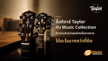 ซื้อกีตาร์ Taylor กับ Music Collection ตัวแทนจำหน่ายอย่างเป็นทางการ ได้อะไรมากกว่าที่คิด