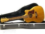 Cole Clark FL2AC