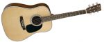Martin D-28 (Standard Series)