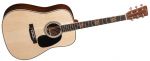 Martin D-35 Seth Avett (Limited Editions)