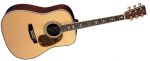 Martin D-41 (Standard Series)