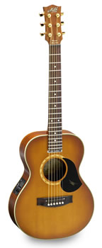 Maton Mini EMD/6 (Diesel Special)
