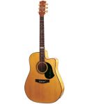 Maton TE 2