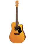 Maton TE 1