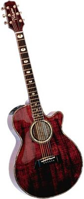 Takamine 1991 Limited Edition