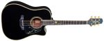 Takamine Limited Edition 2012