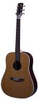 กีต้าร์ Ayers Guitar Premium Series - D-01e