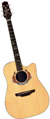 กีต้าร์ Takamine 2002 Limited Edition