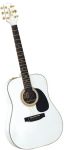 กีต้าร์ Takamine 25th Anniversary (EF25S)