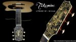 กีต้าร์ Takamine Limited Edition 2010